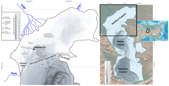 Diversity 15 00150 g001