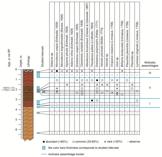 Diversity 15 00150 g004