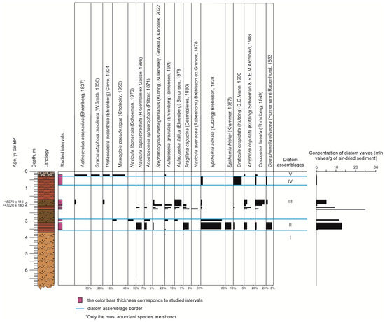 Diversity 15 00150 g006