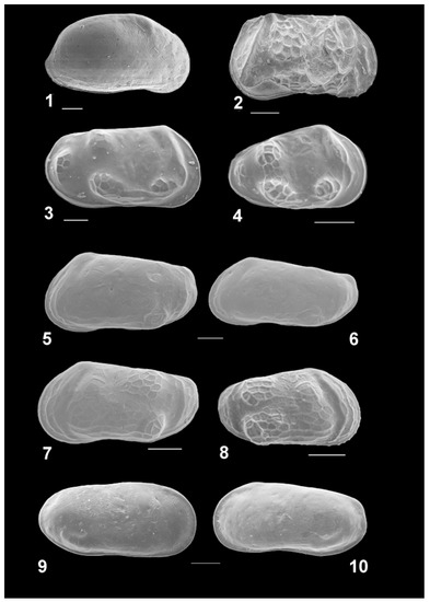 Diversity 15 00150 g007