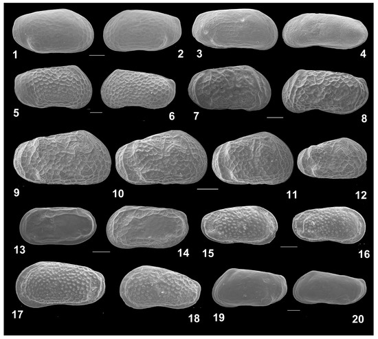 Diversity 15 00150 g008
