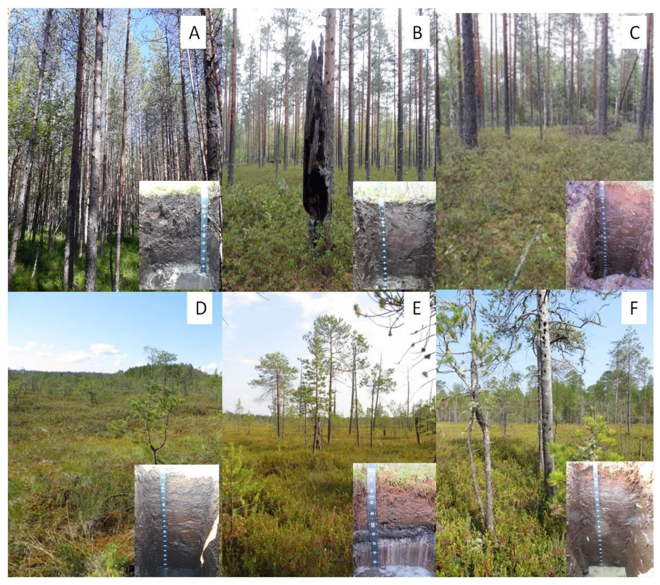 Diversity 15 00159 g002 Diversity 15 00159 g002