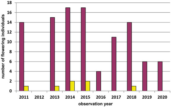 Diversity 15 00179 g0a4