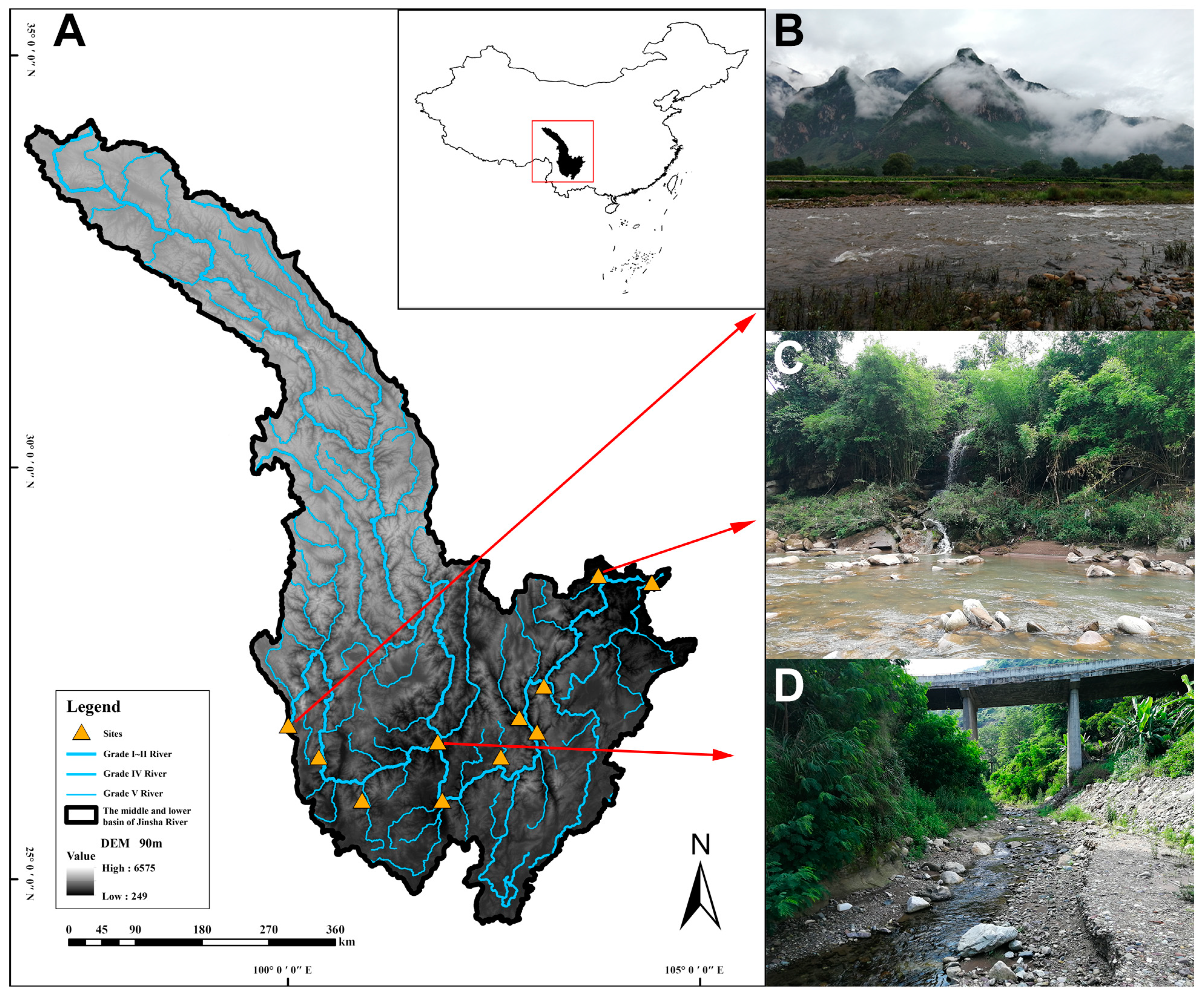 Diversity 15 00181 g001