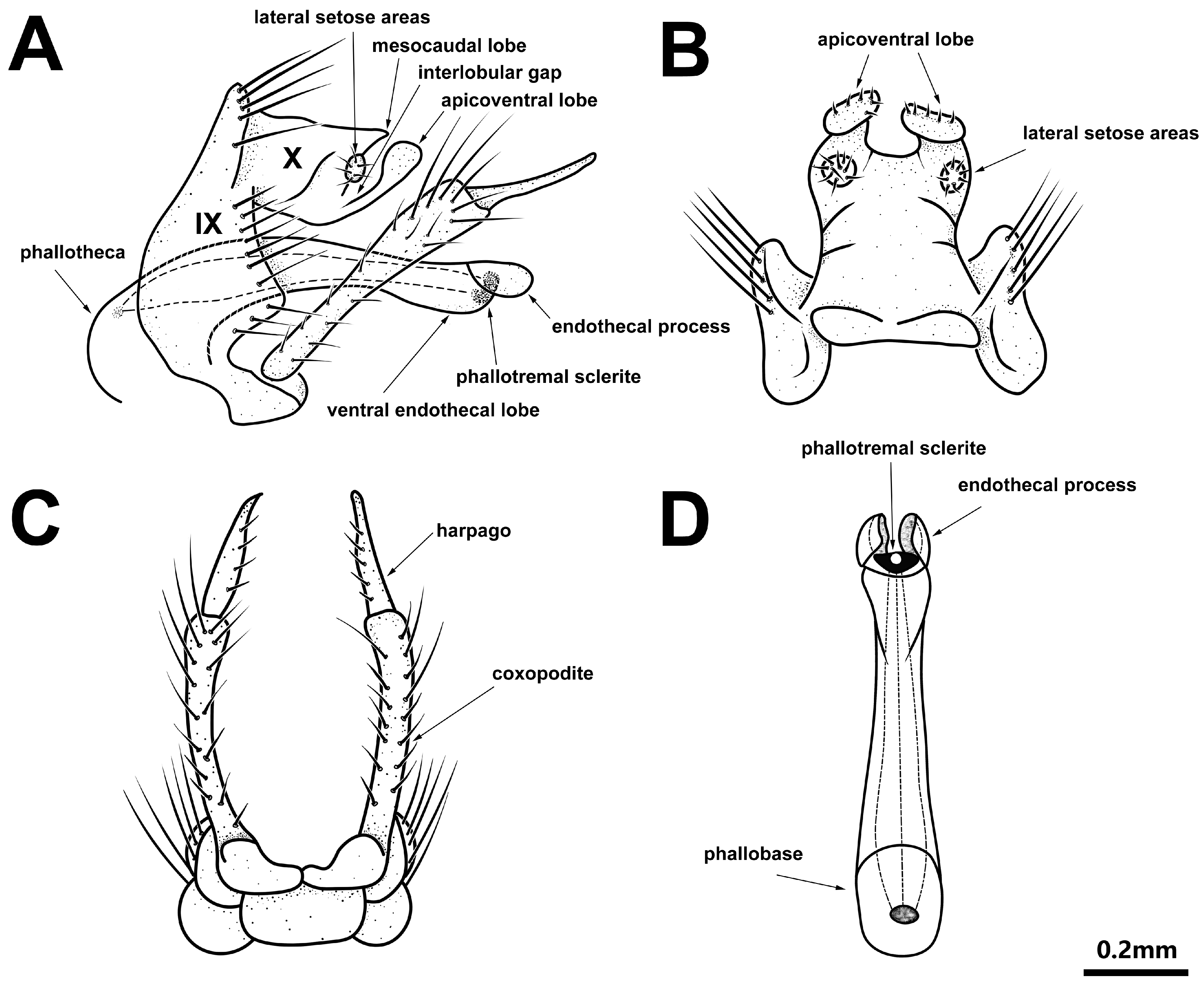 Diversity 15 00181 g002