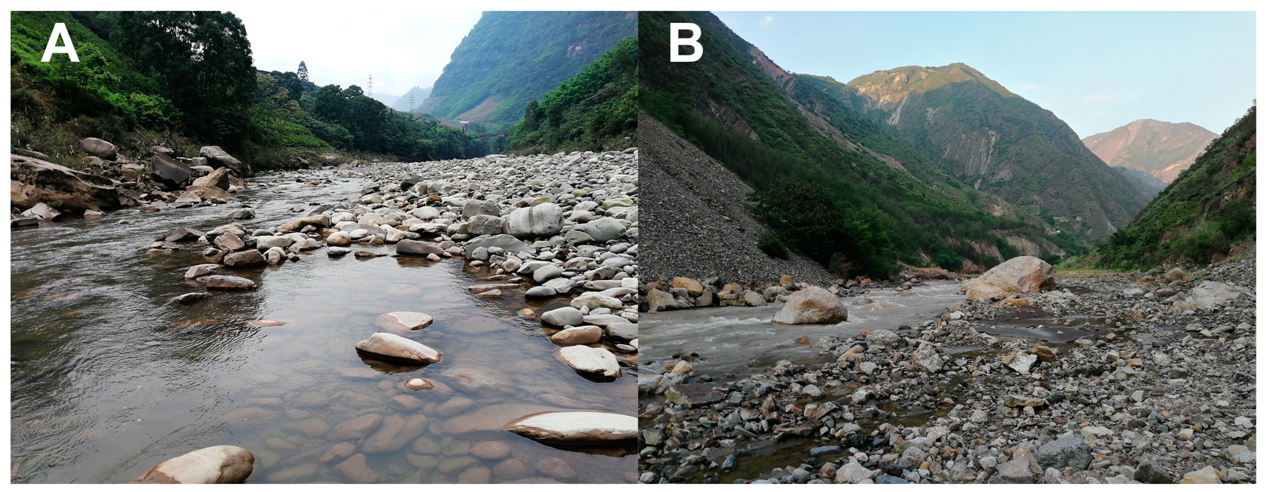 Diversity 15 00181 g003