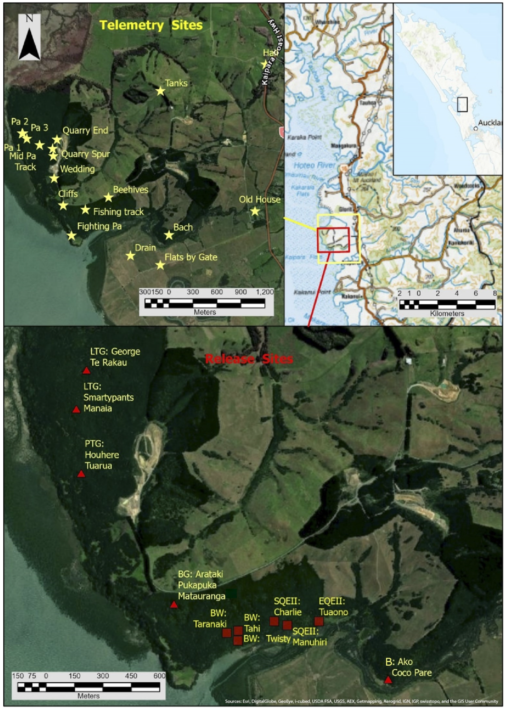 Diversity 15 00190 g001 Diversity 15 00190 g001