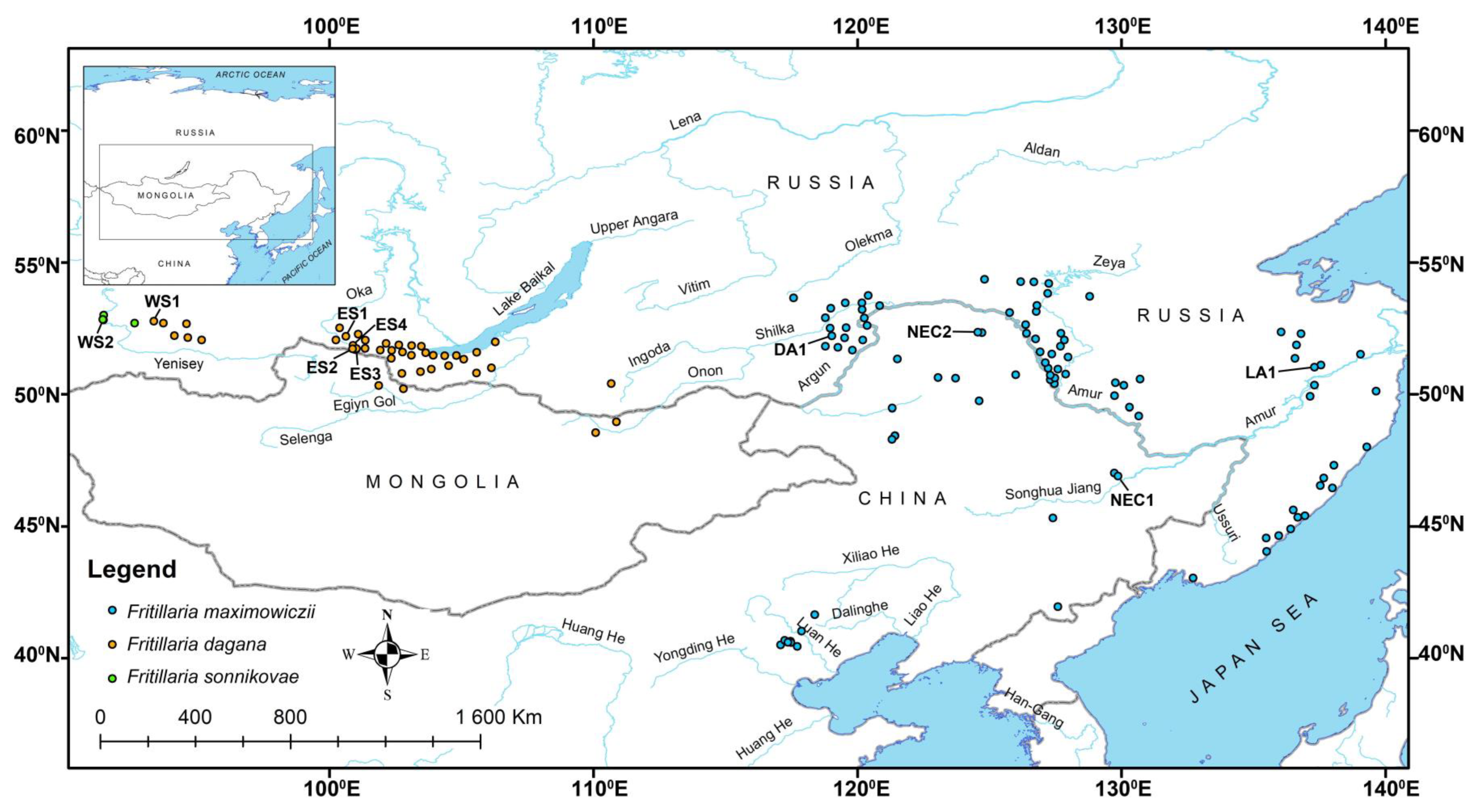 Diversity 15 00193 g001 Diversity 15 00193 g001