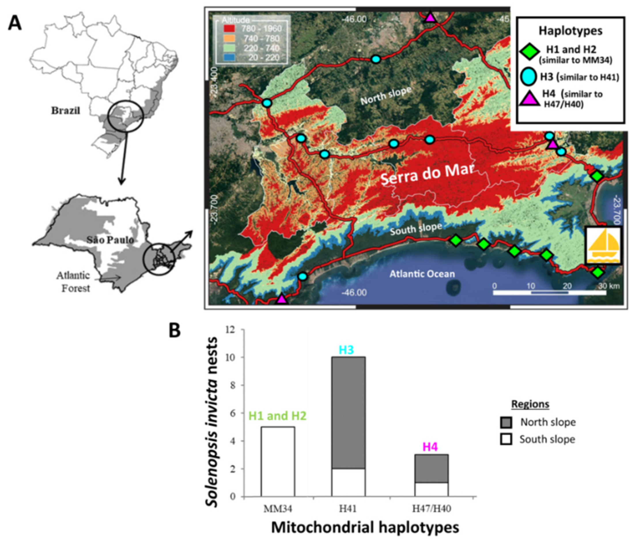 Diversity 15 00194 g001 Diversity 15 00194 g001