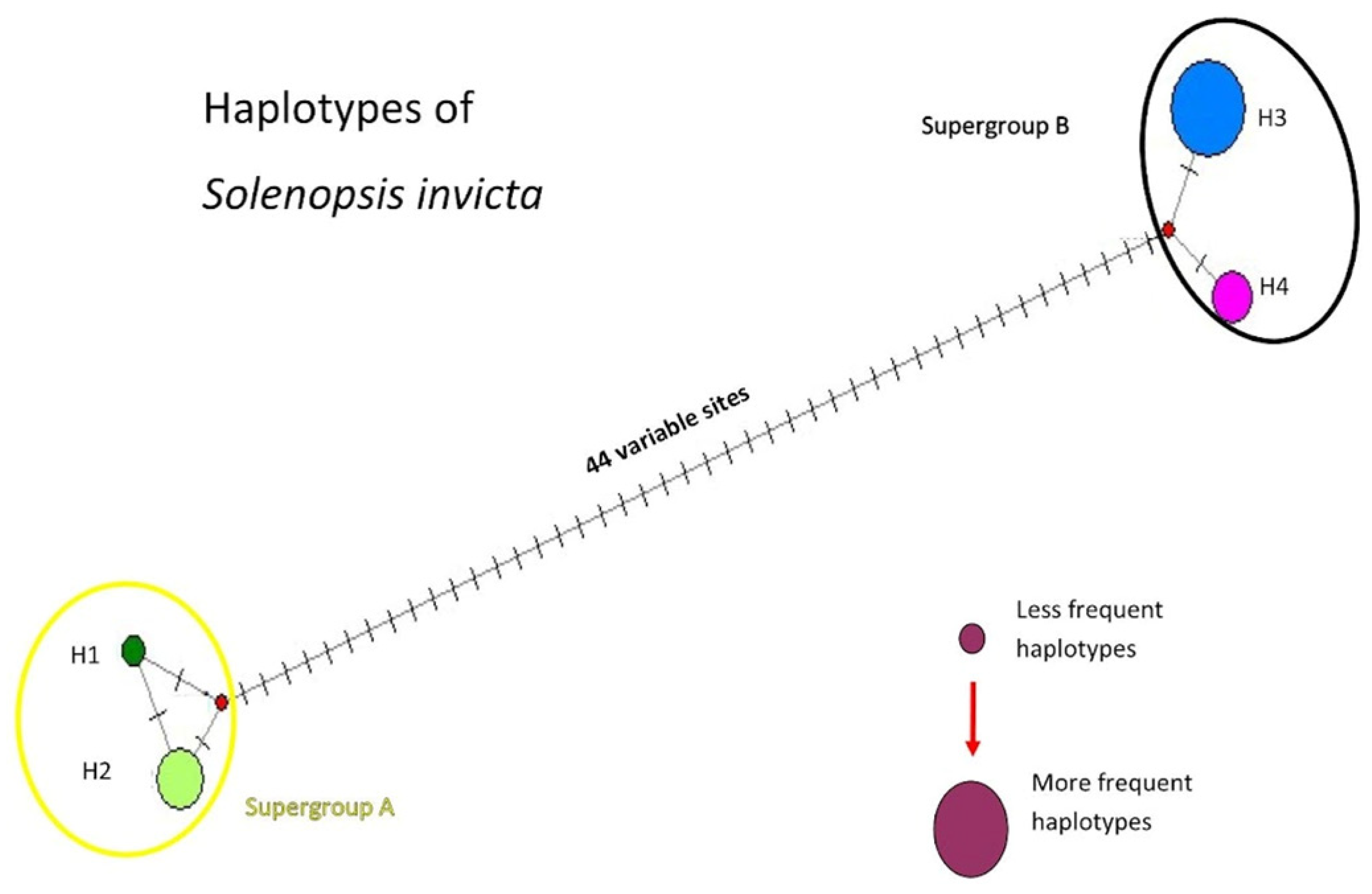 Diversity 15 00194 g003 Diversity 15 00194 g003