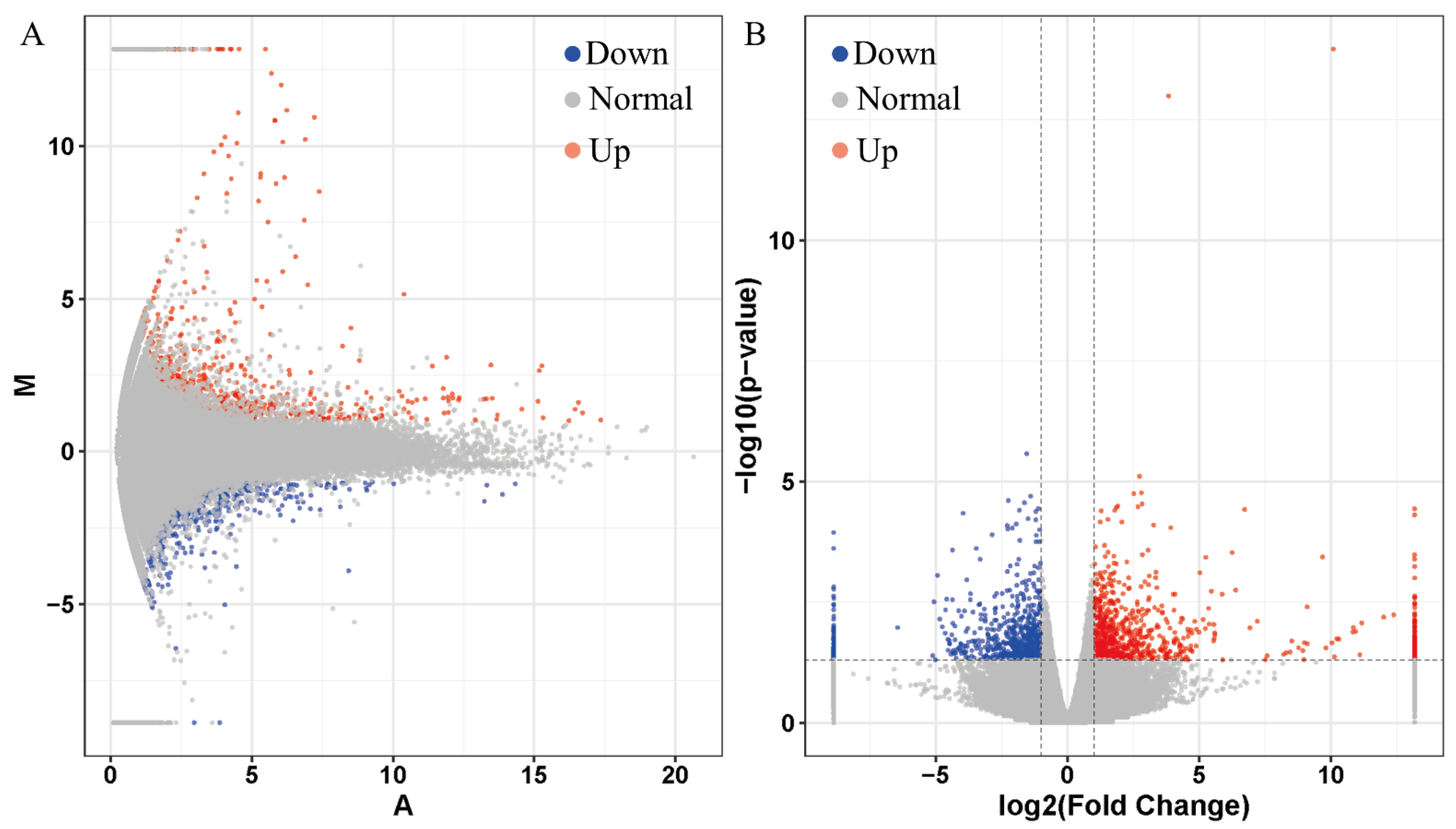 Diversity 15 00196 g001