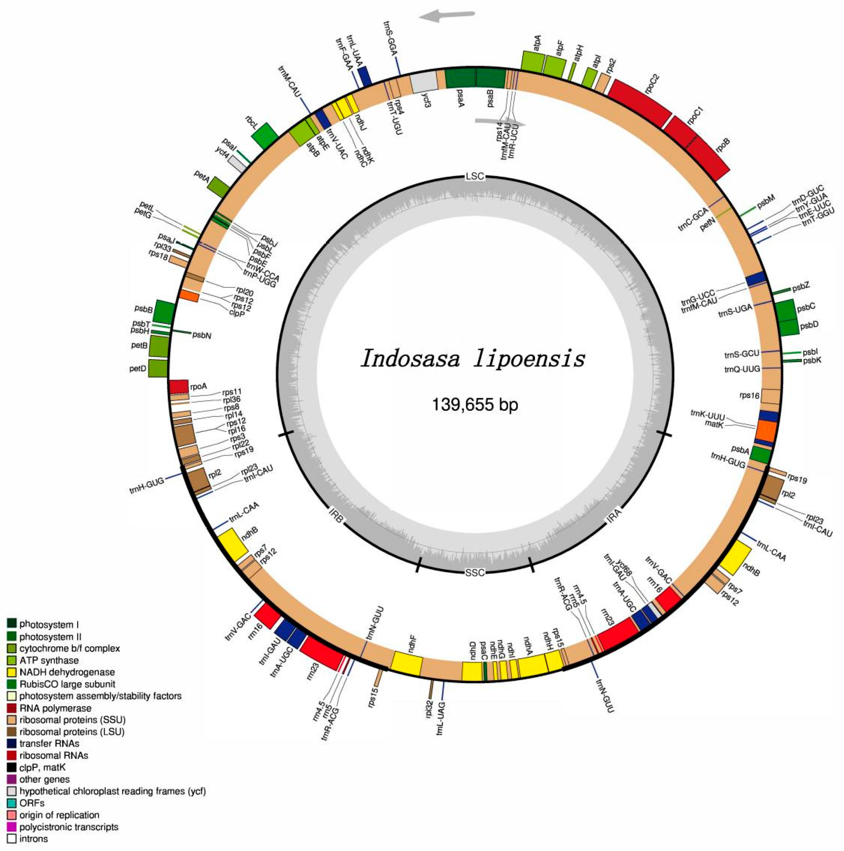 Diversity 15 00197 g001