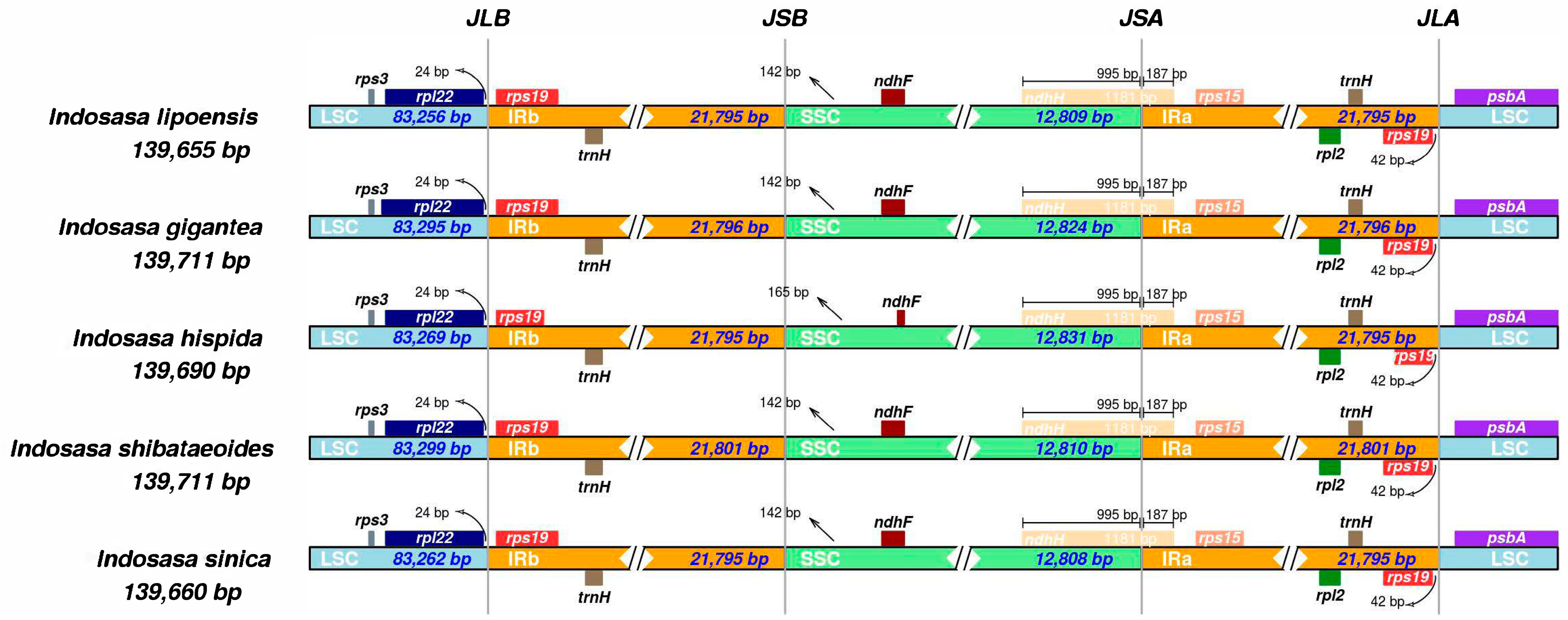 Diversity 15 00197 g005