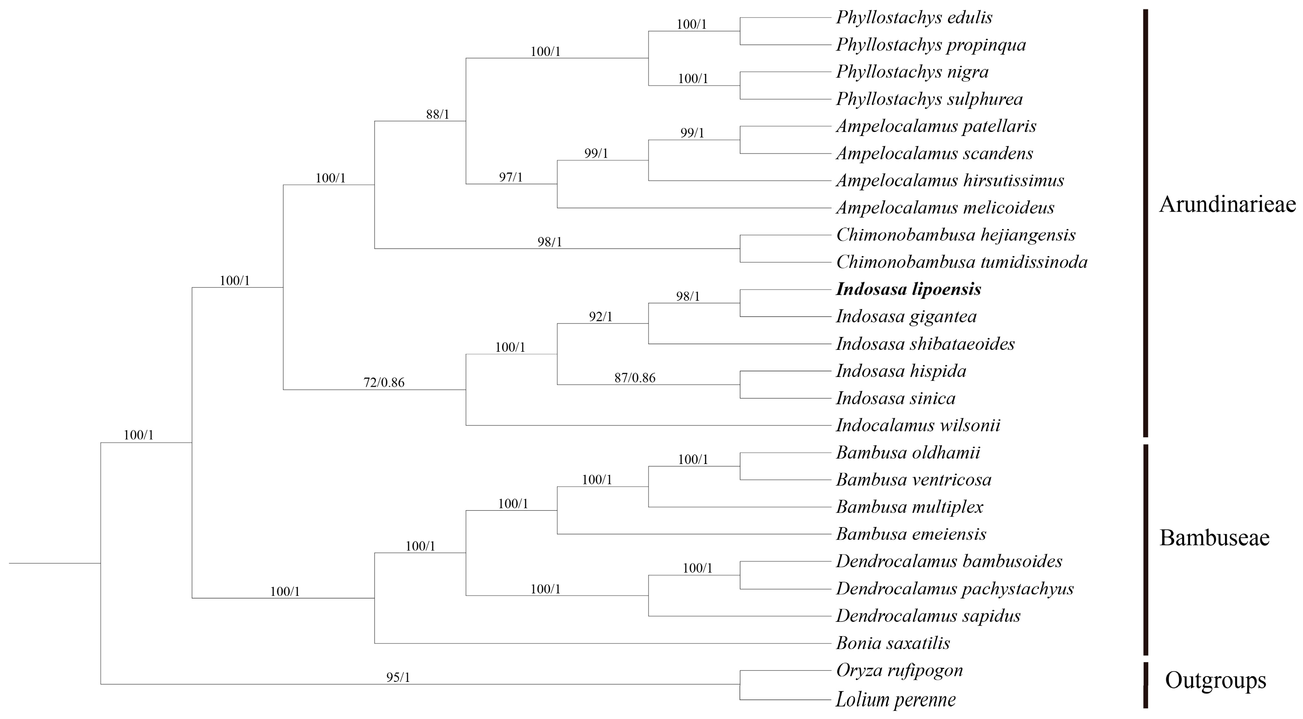Diversity 15 00197 g008