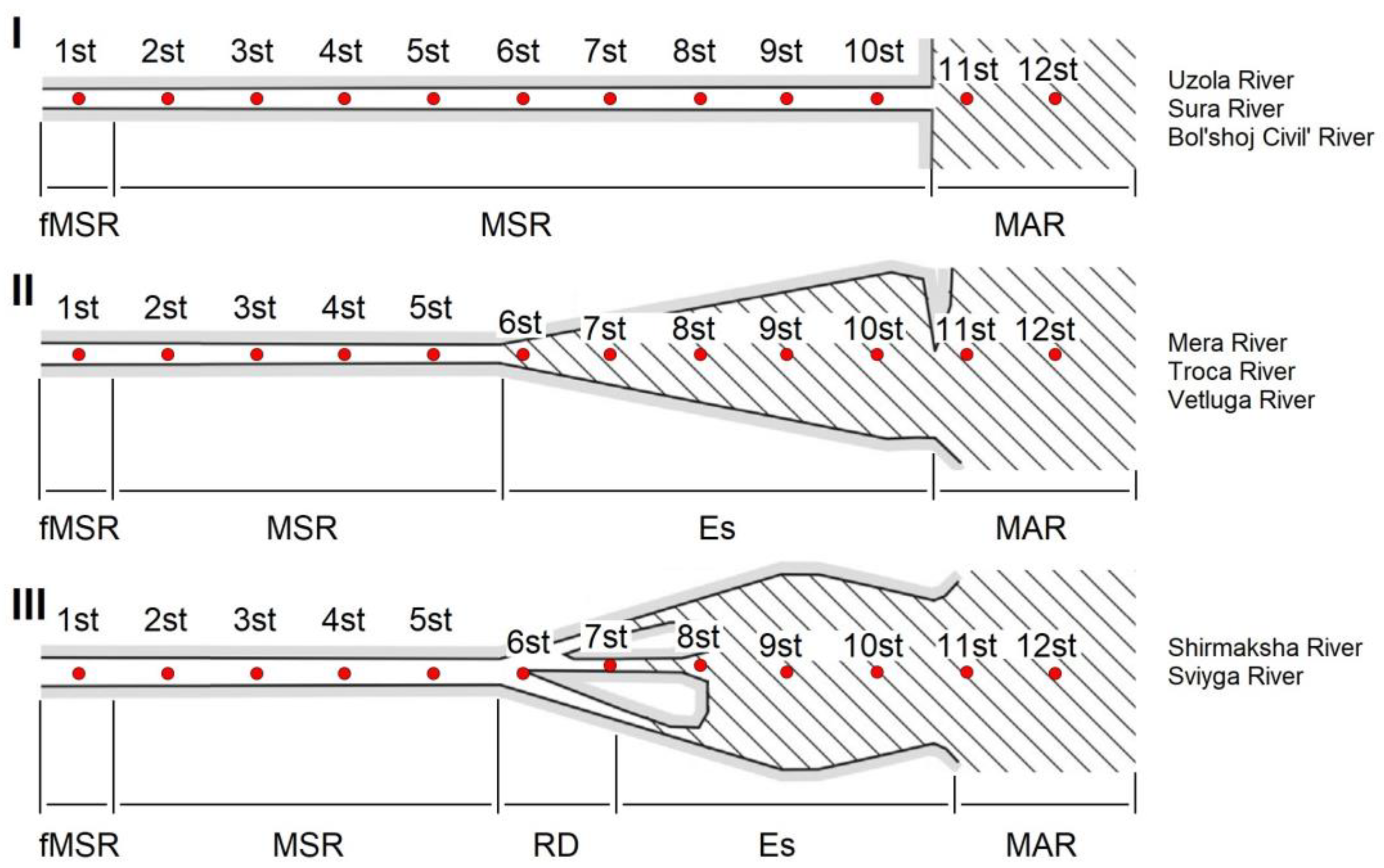 Diversity 15 00199 g001