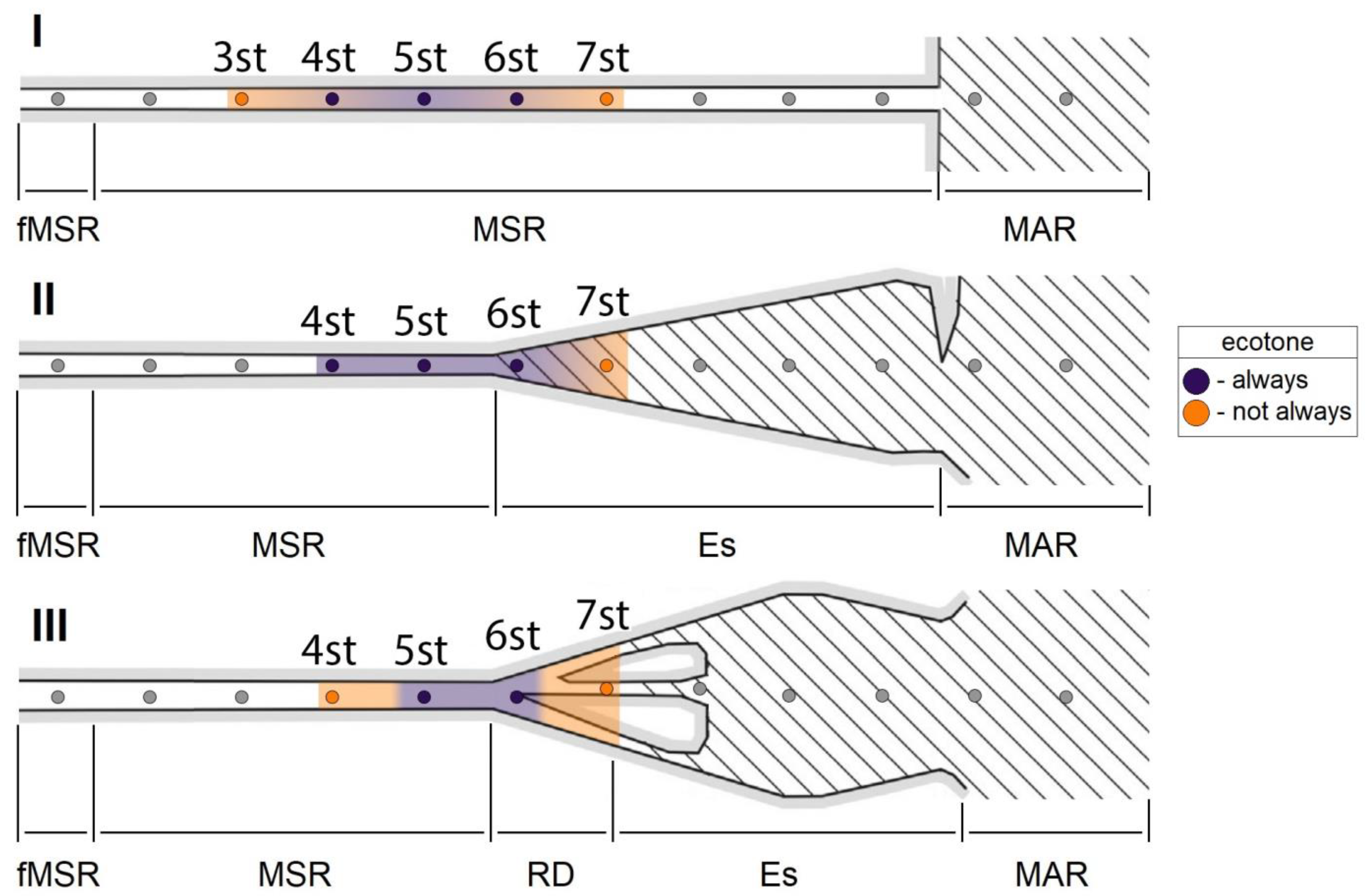 Diversity 15 00199 g004