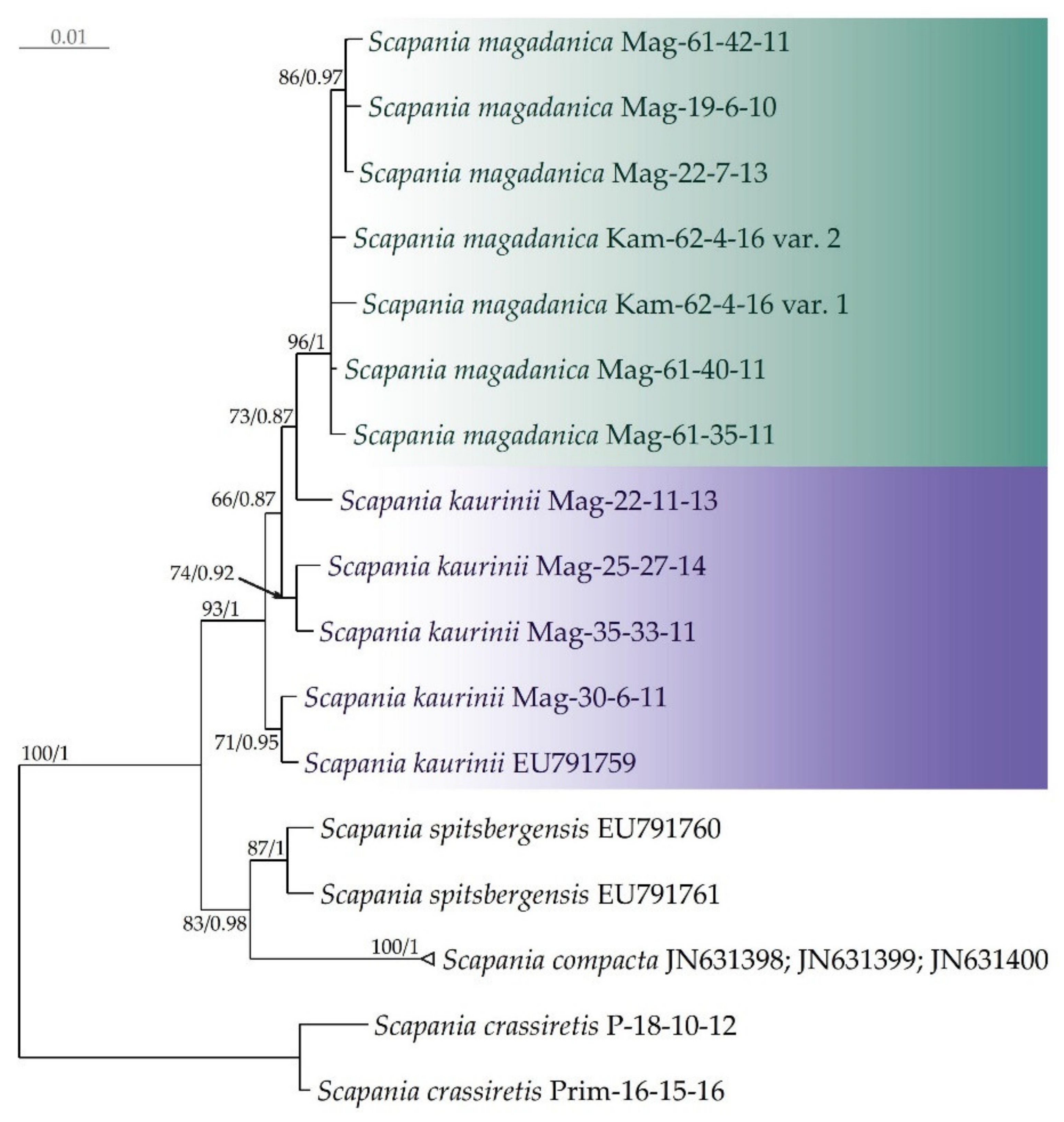 Diversity 15 00205 g001