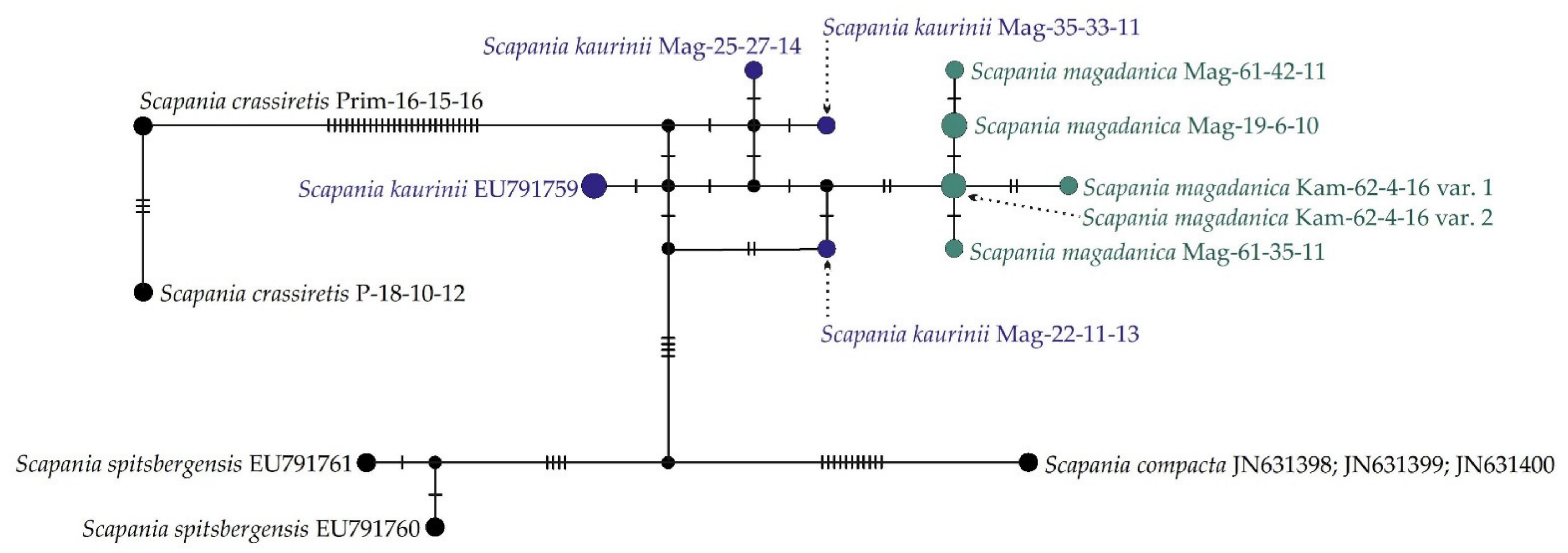Diversity 15 00205 g002