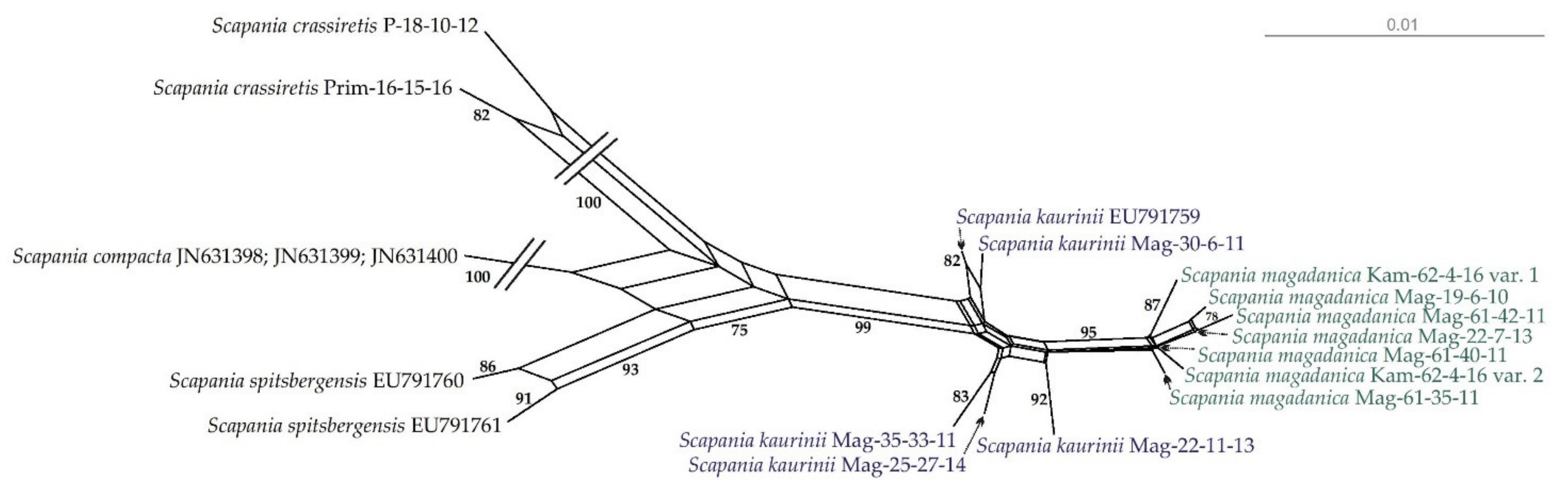 Diversity 15 00205 g003