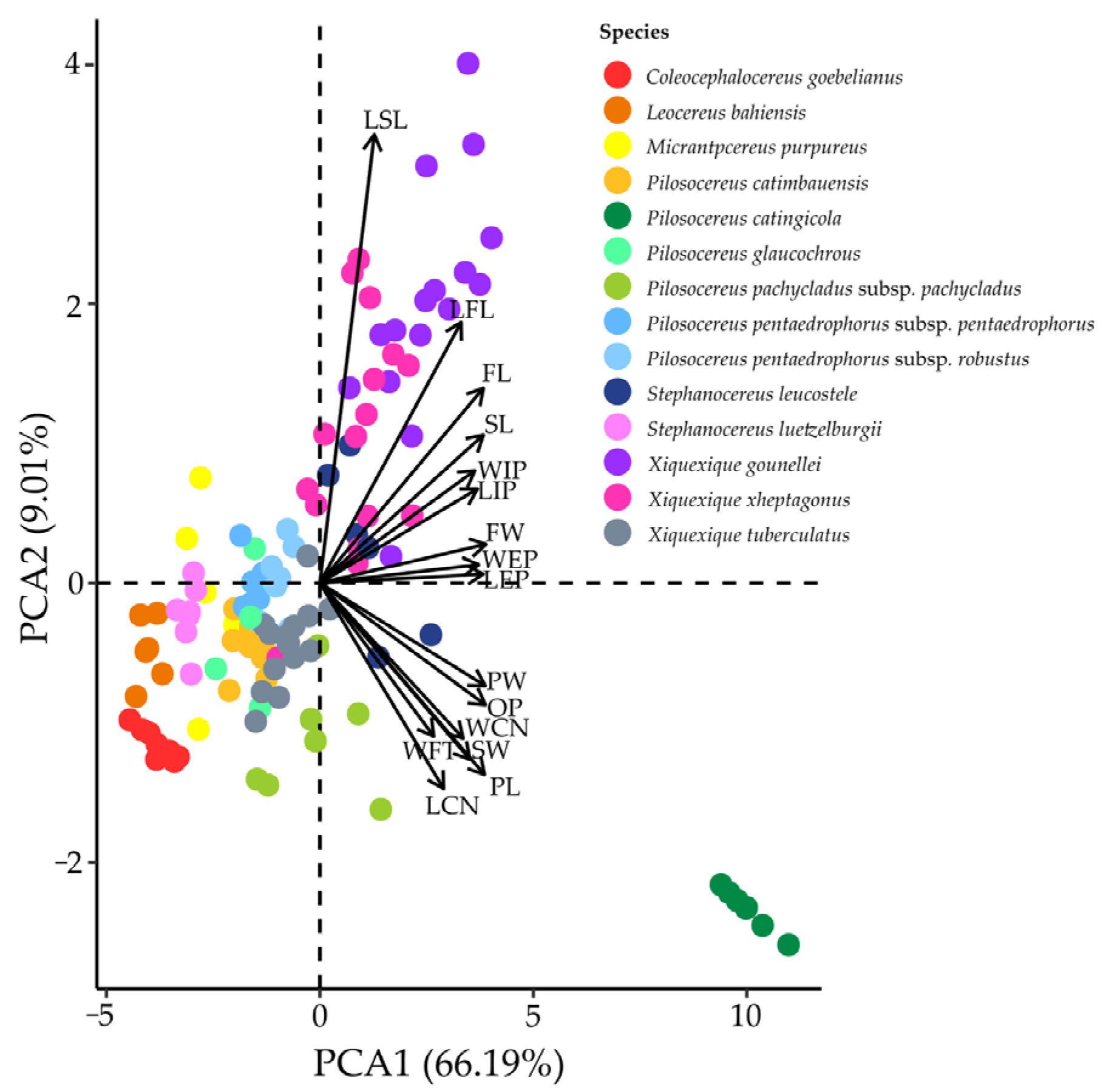 Diversity 15 00207 g003