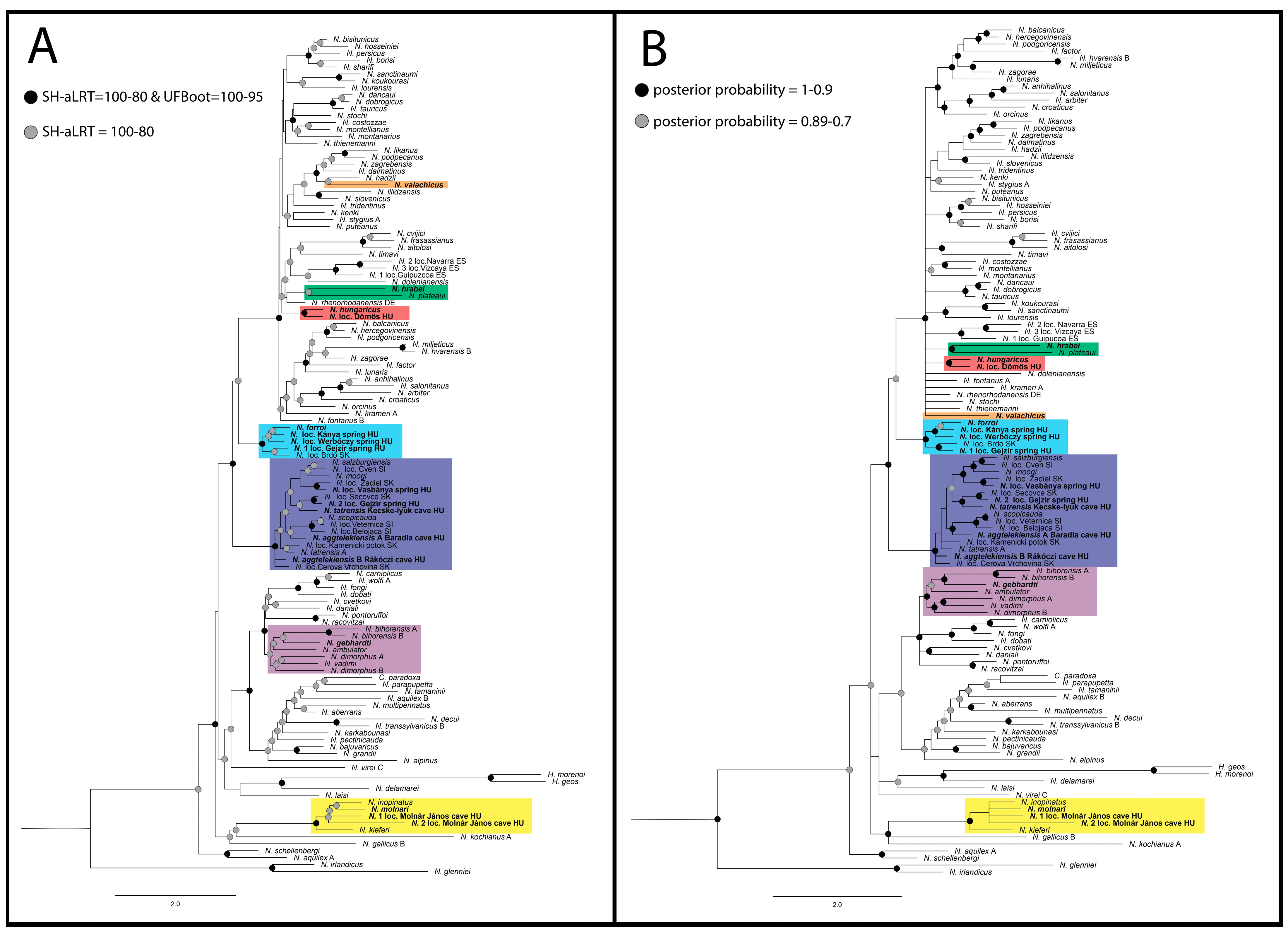 Diversity 15 00223 g002