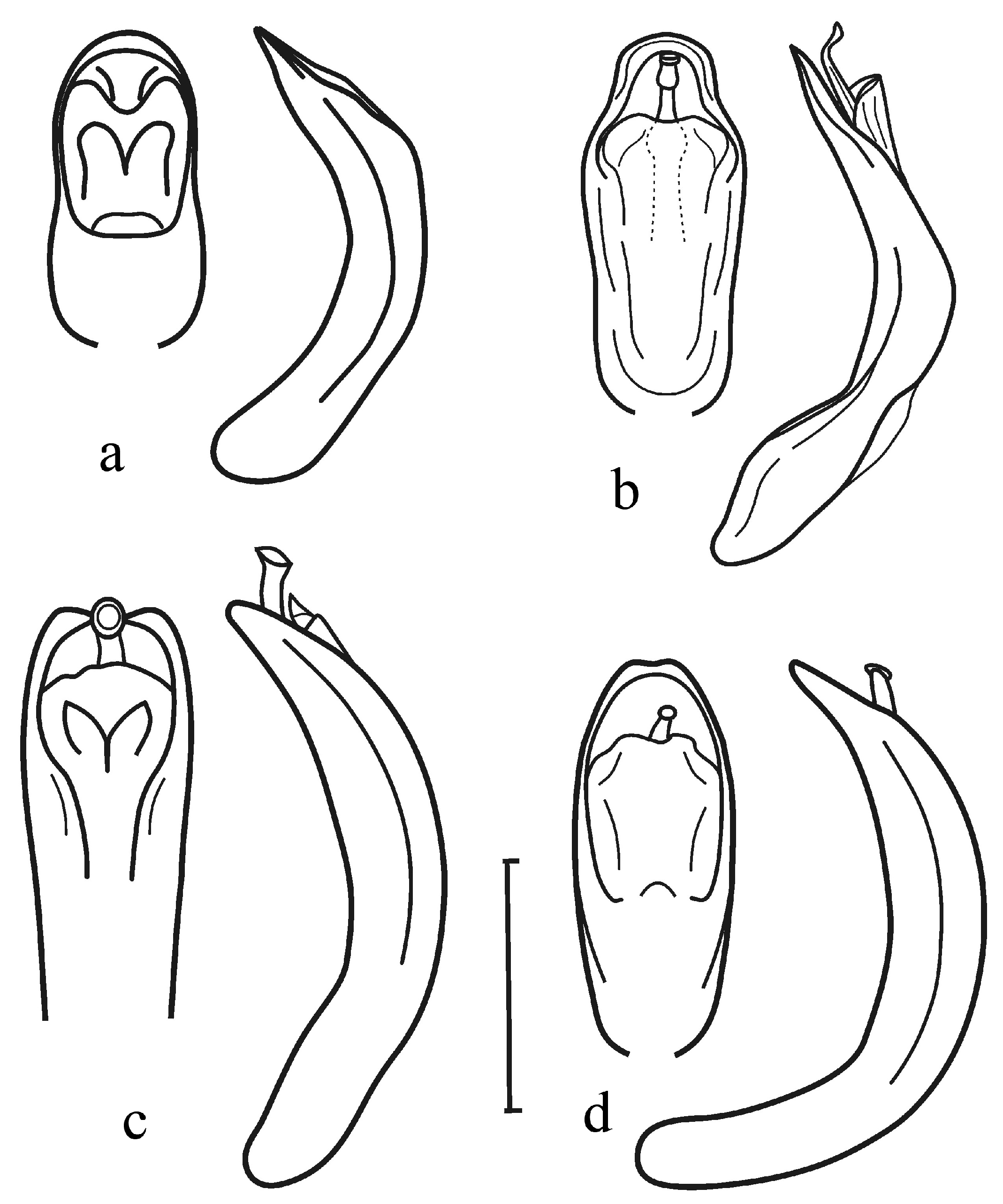 Diversity 15 00228 g007 Diversity 15 00228 g007