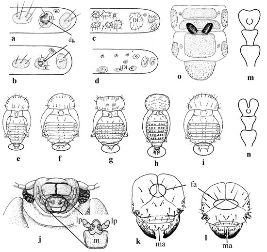 Diversity 15 00228 g009