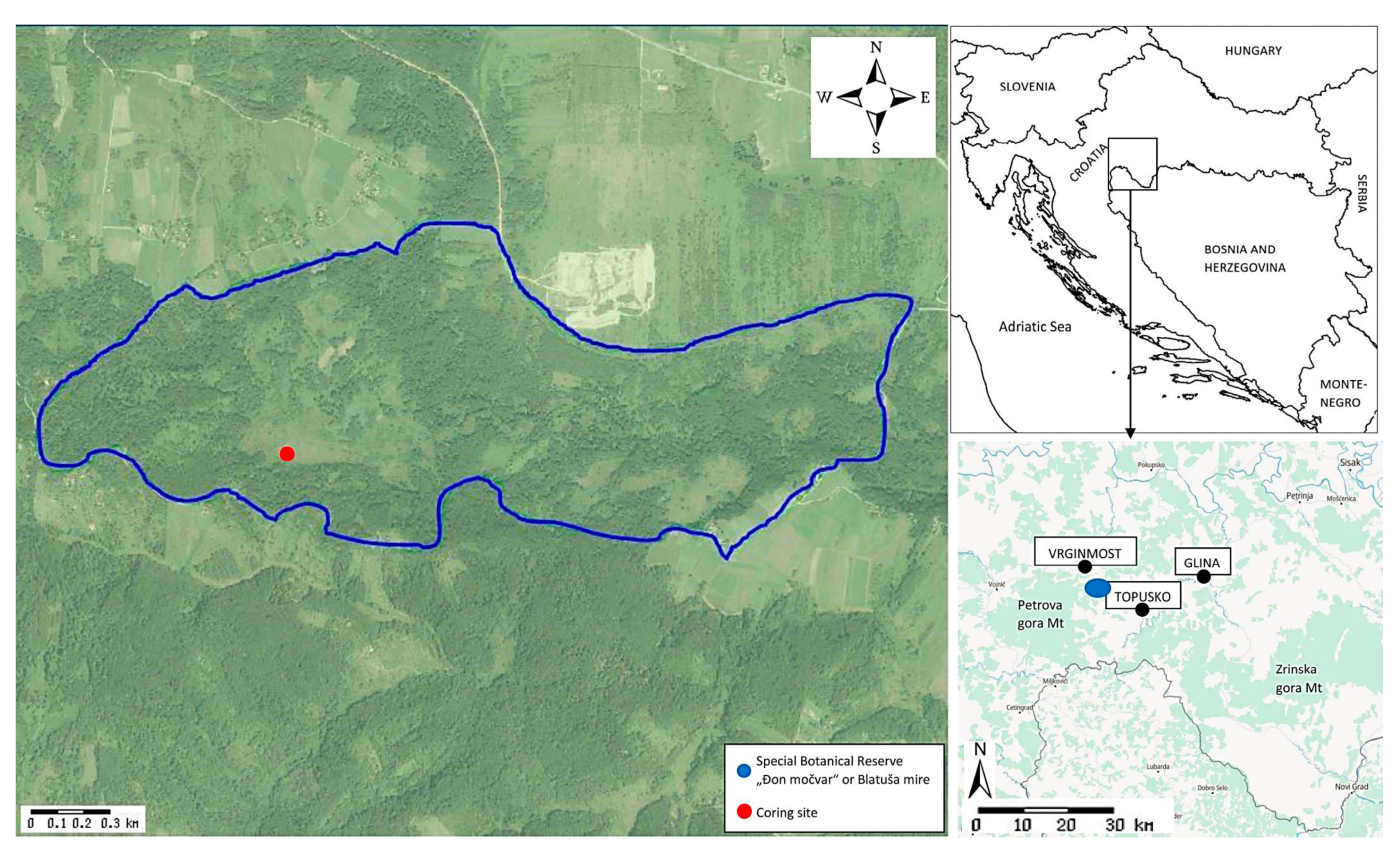 Diversity 15 00235 g001