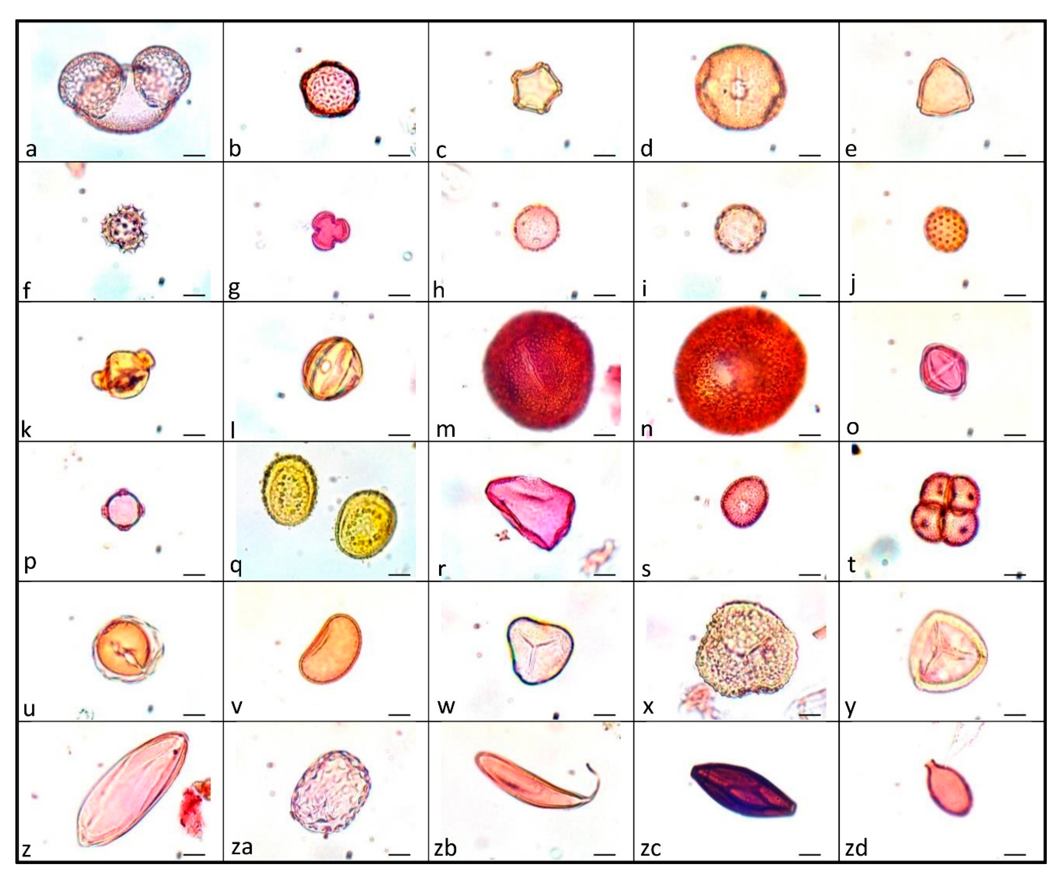 Diversity 15 00235 g006