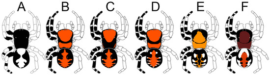 Diversity 15 00238 g002