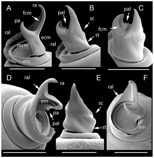 Diversity 15 00238 g003