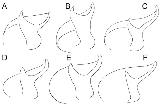 Diversity 15 00238 g004