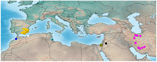 Diversity 15 00238 g005