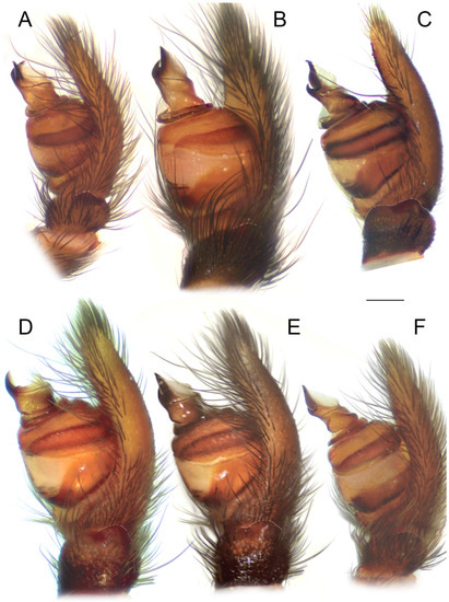 Diversity 15 00238 g006