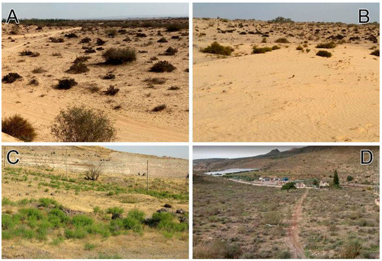 Diversity 15 00238 g009