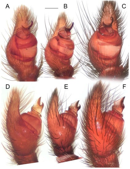Diversity 15 00238 g013