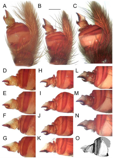 Diversity 15 00238 g014