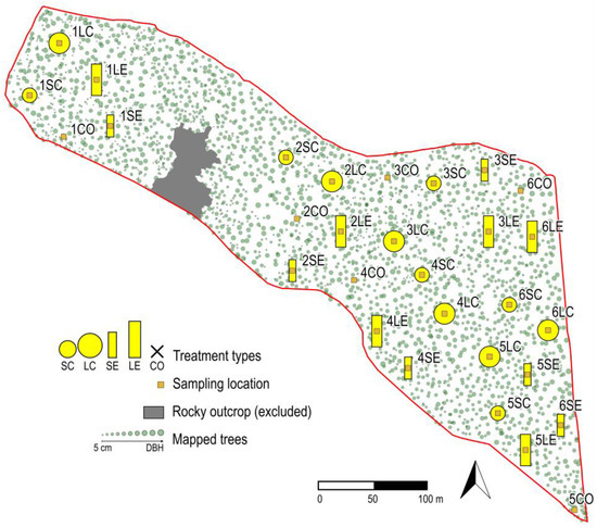 Diversity 15 00240 g001
