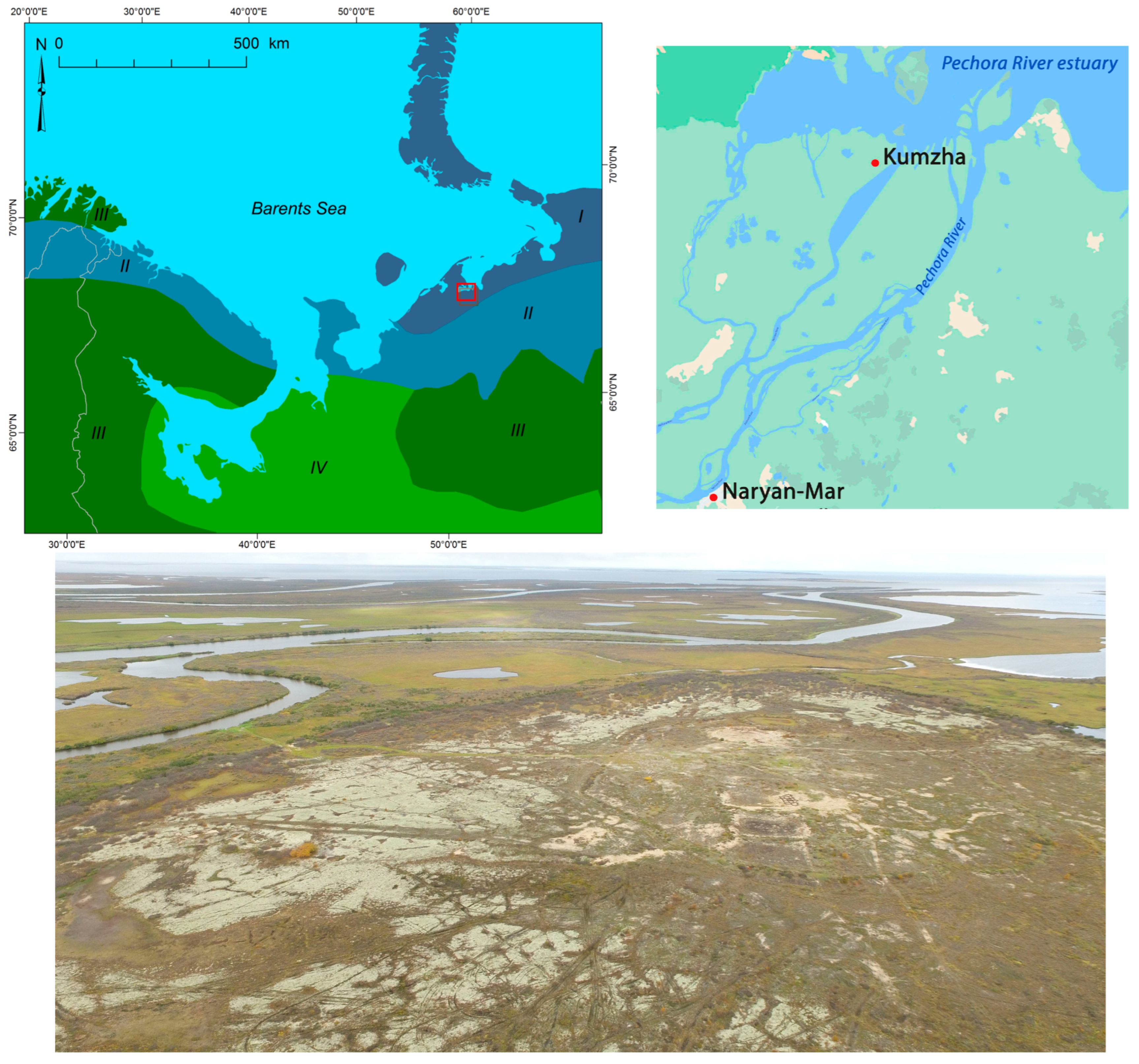 Diversity 15 00251 g001