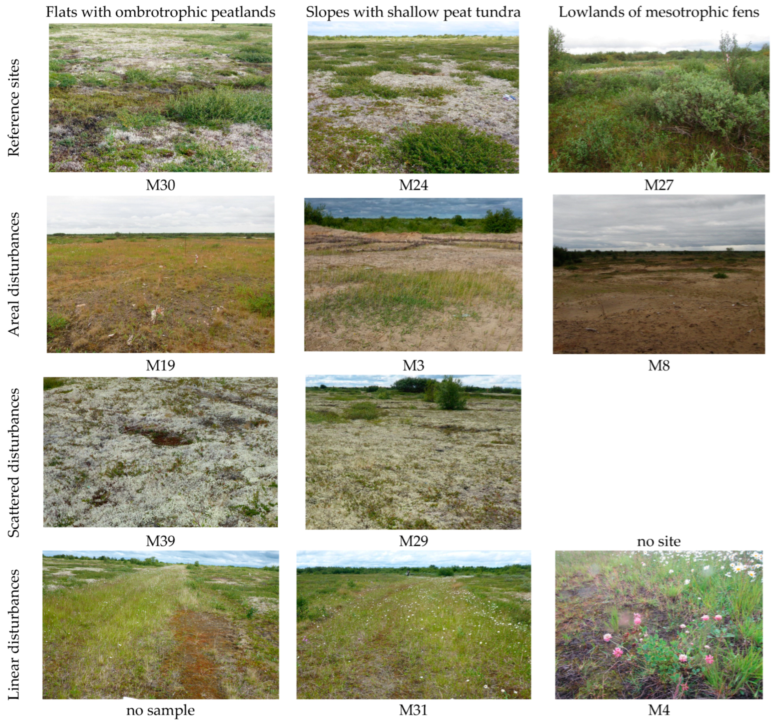 Diversity 15 00251 g002