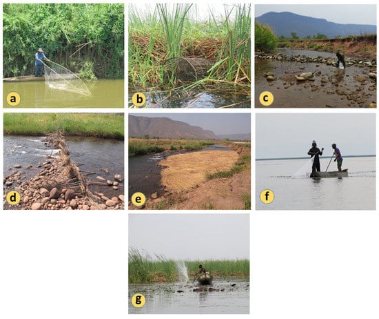 Diversity 15 00259 g0a2 550