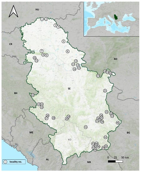 Diversity 15 00264 g001