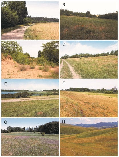 Diversity 15 00264 g002