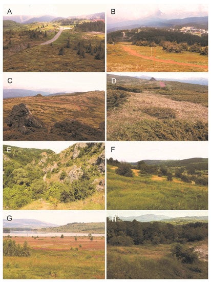 Diversity 15 00264 g003