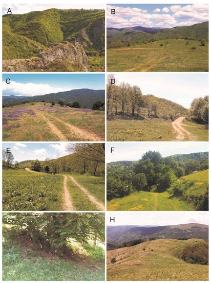 Diversity 15 00264 g004