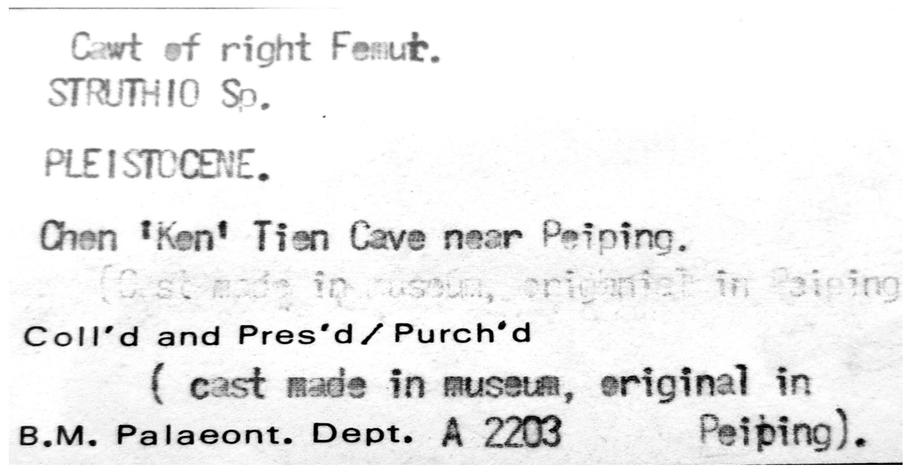 Diversity 15 00265 g001