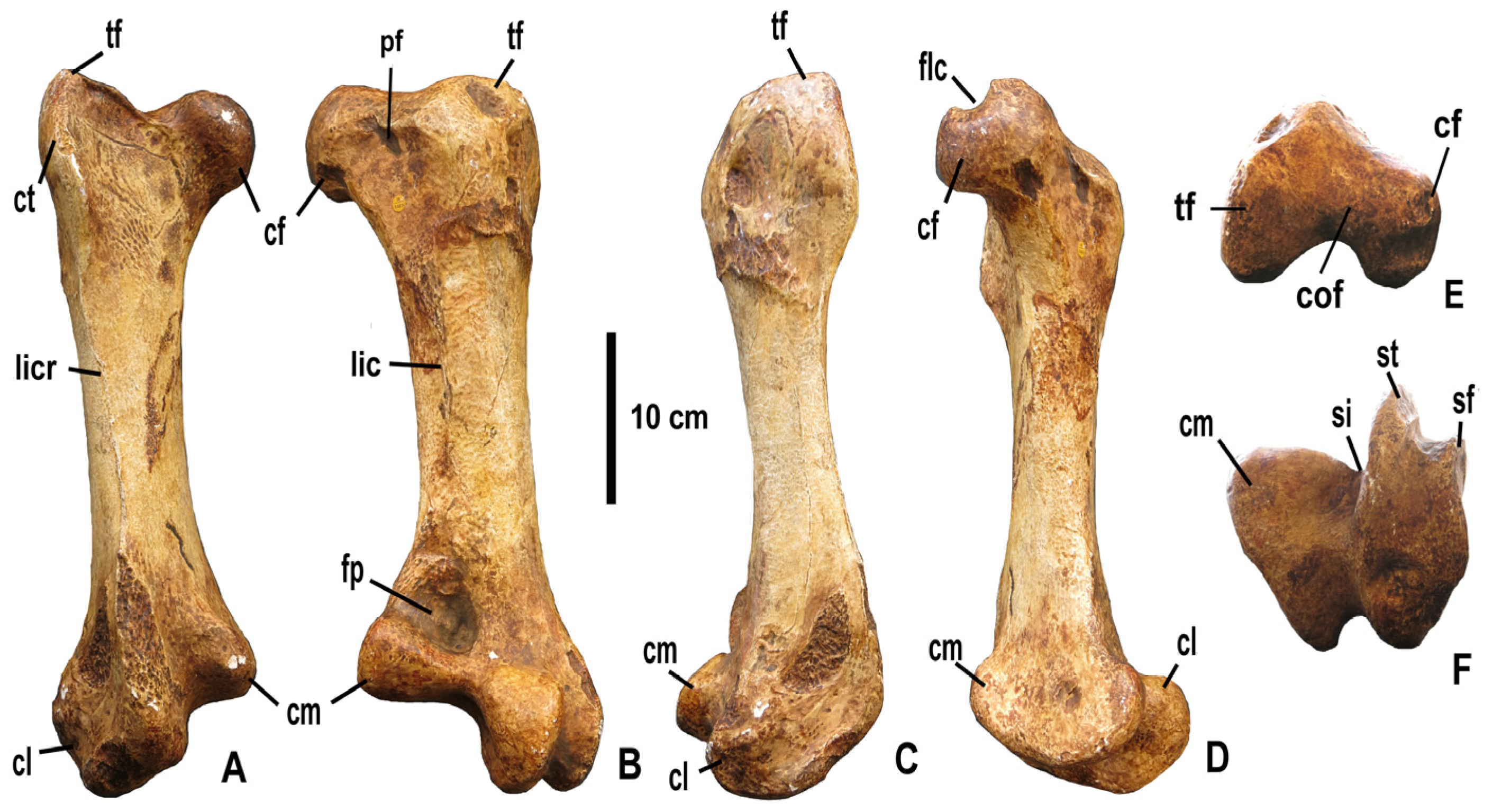 Diversity 15 00265 g002