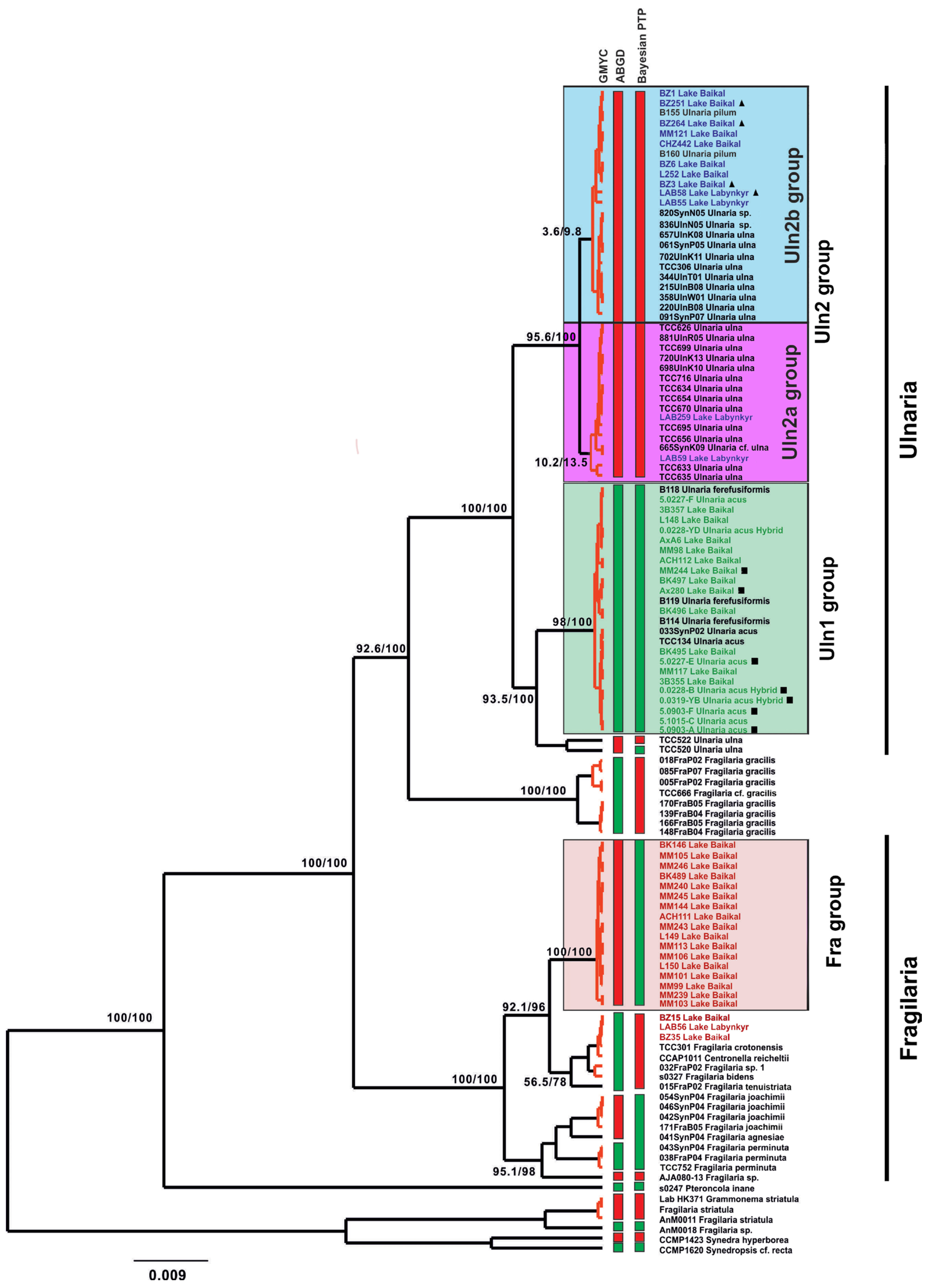 Diversity 15 00271 g001 Diversity 15 00271 g001