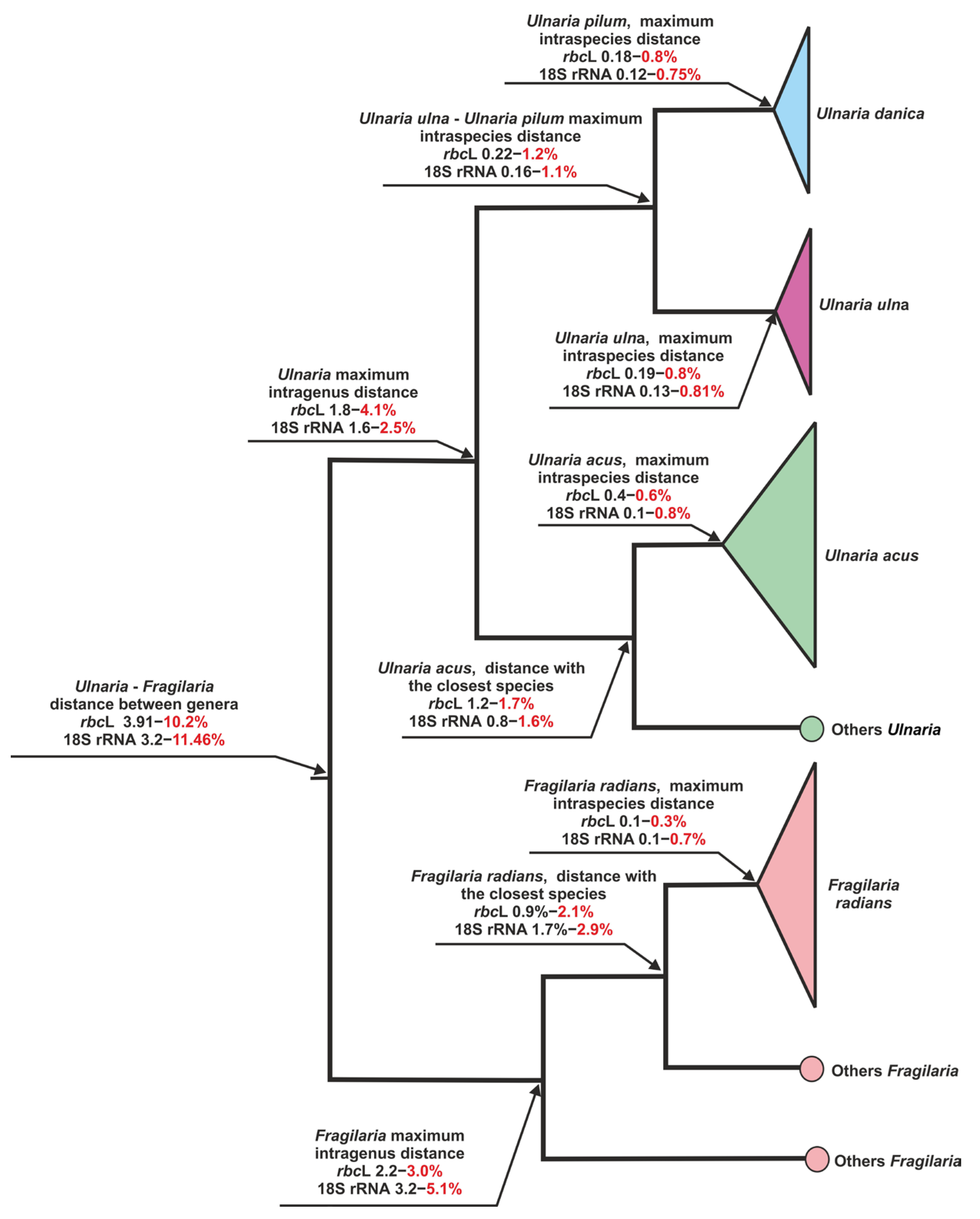 Diversity 15 00271 g003 Diversity 15 00271 g003