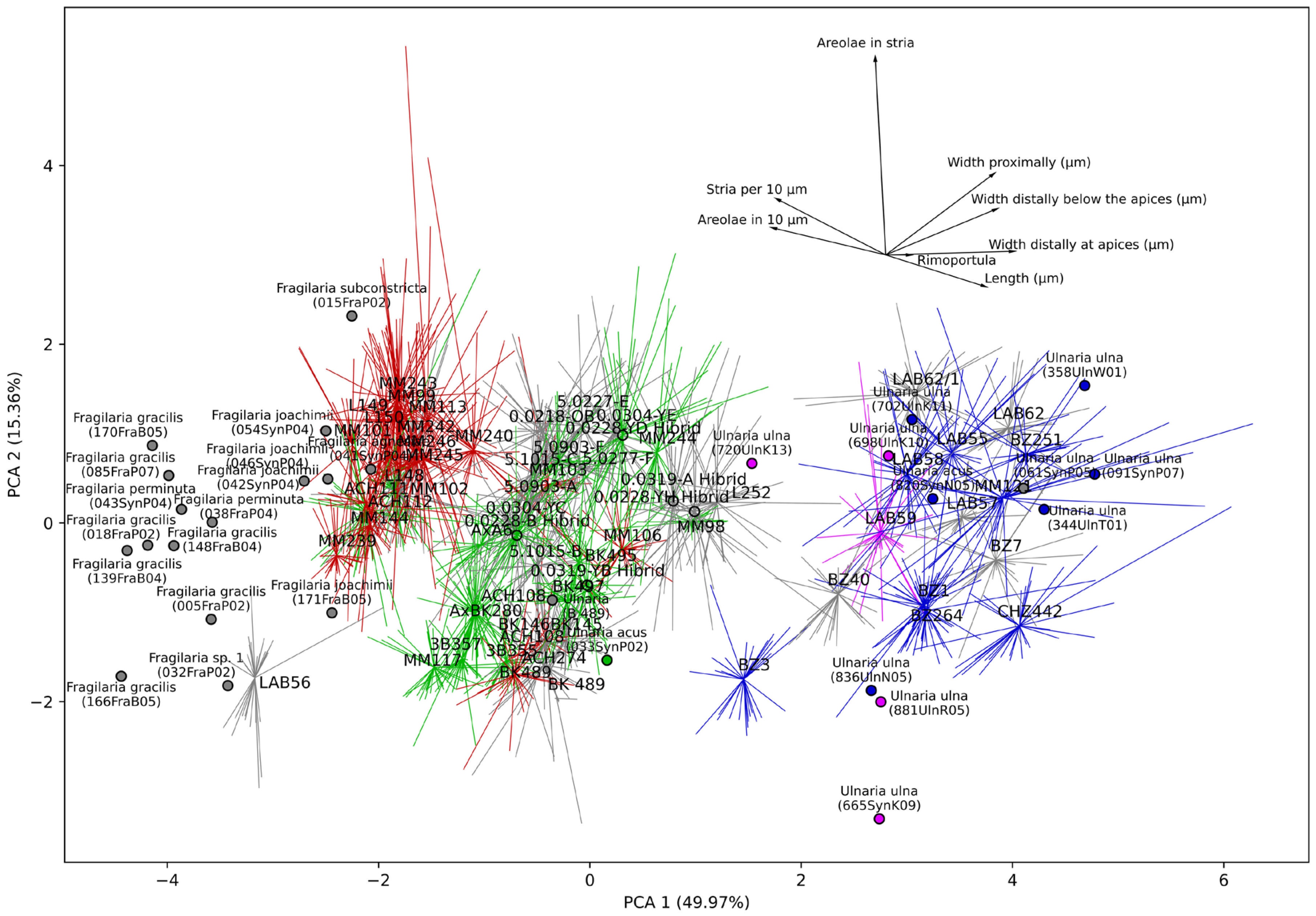 Diversity 15 00271 g008 Diversity 15 00271 g008